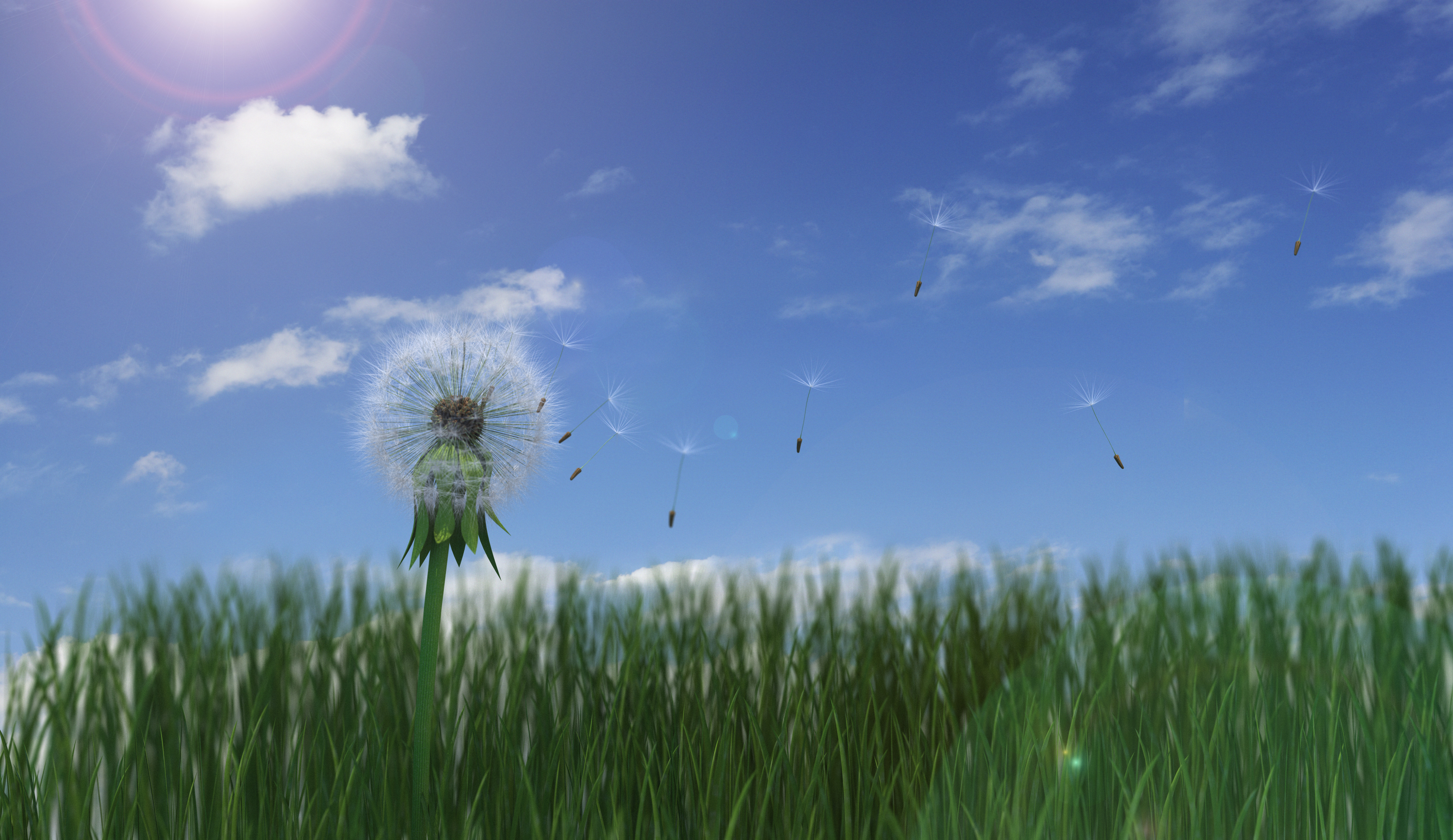 A Sustainable Place CIC gains valuable support from Inspire2Enterprise